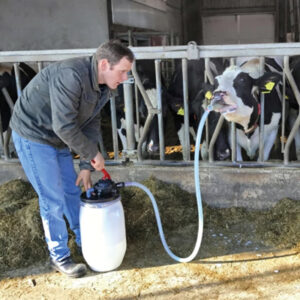 COWDRENCHER AMBIANCE