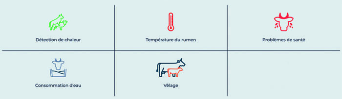 Bolus intelligent pour le rumen – Image 4