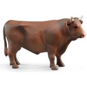 Taureau brun