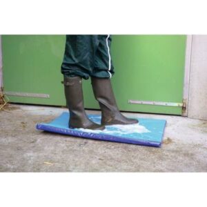 Tapis pédiluve perret concept suisse