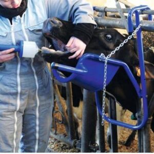 Lève tête pour vache Vink
