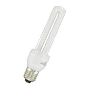 Ampoule néon E27