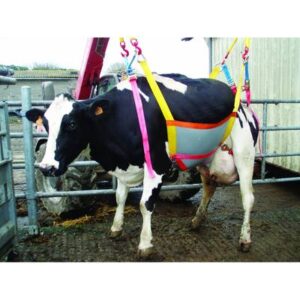 Lève vache Up Cow