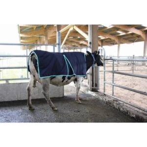 Couverture vache