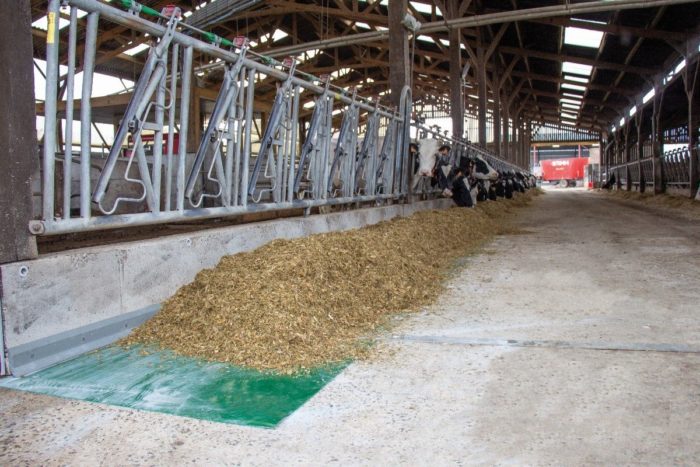 Revêtement de sol SaniFeed - 1.15m - Solker – Image 2