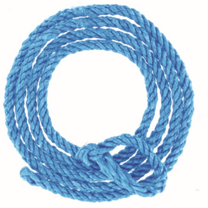 Longe en nylon Ø12mm x 2.20m