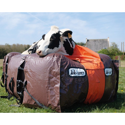 Coussin de levage Air-cow