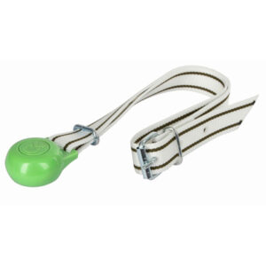 Poids pour collier de marquage