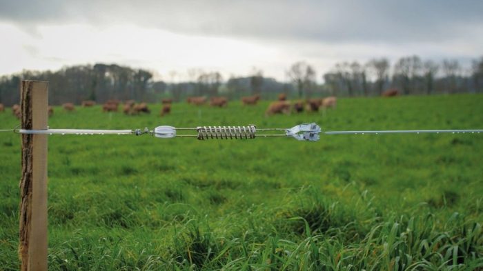 Câble tendeur horizontal avec isolateur – Image 4