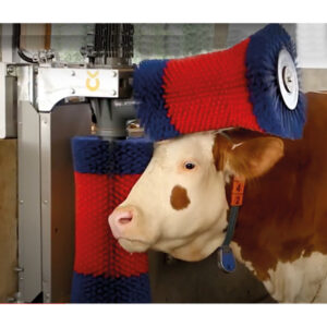 BROSSE A VACHE HAPPYCOW DUO