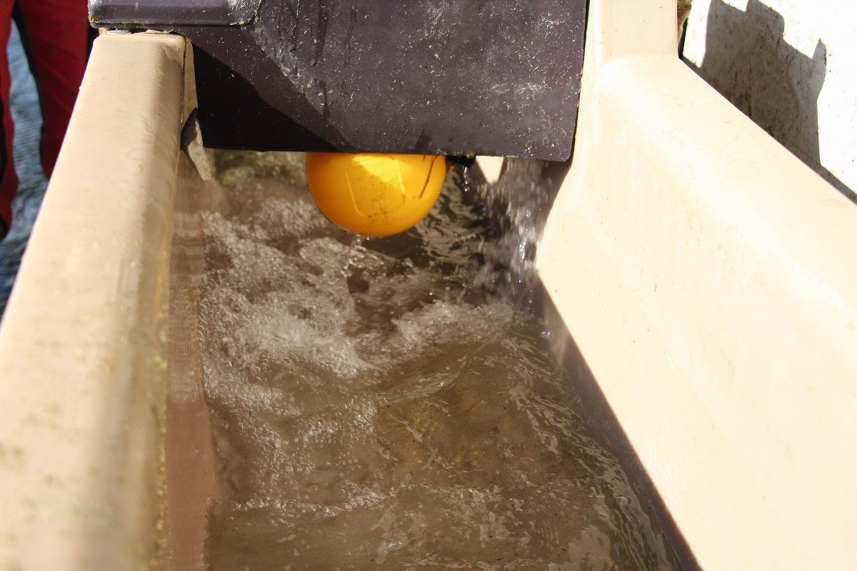 Abreuvoir d'intérieur Abreuvoir d'intérieur Cuva'O Stab 150 – Image 7