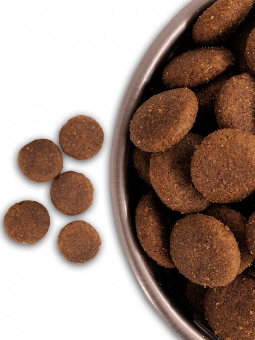 Croquettes pour chien Croquettes pour chien Azur Pro 25/10 Nature Dog 15kg – Image 3