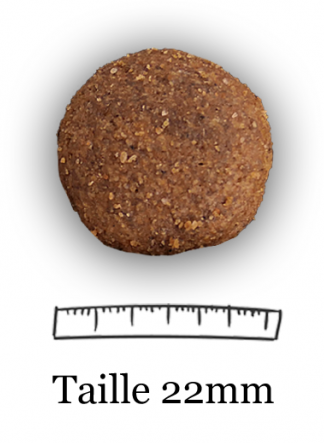 Croquettes pour chien Croquettes pour chien Azur Pro 25/10 Nature Dog 15kg – Image 2